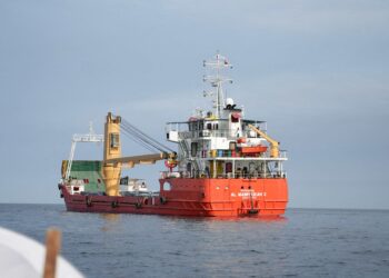 US alleges well-known Mexican human rights activist works for drug cartel