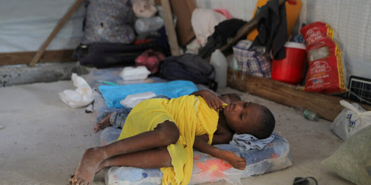 Haiti hunger crisis deepens as almost 6 million face acute food insecurity