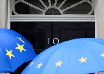 British trade minister says rejoining EU would not fix UK’s issues