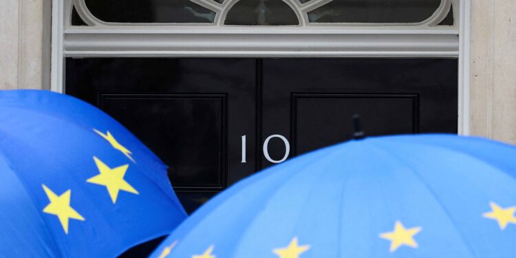 British trade minister says rejoining EU would not fix UK’s issues