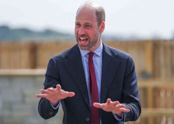 UK’s Prince William says AI can help to tackle homelessness