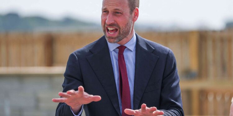 UK’s Prince William says AI can help to tackle homelessness
