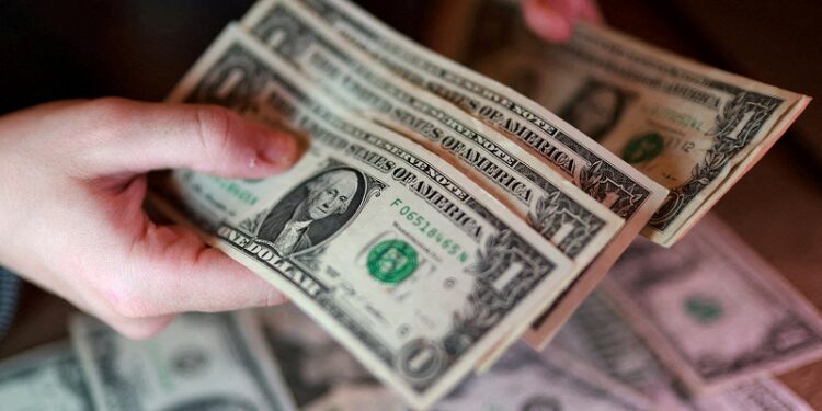 Dollar hits 13-month high as rate-hike bets, stock rout boost demand