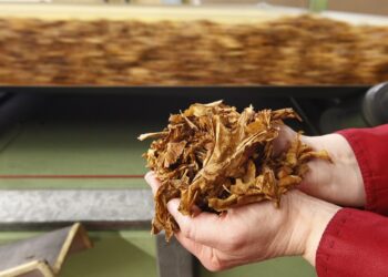 British American Tobacco cost-cutting hits 9,000 roles