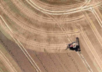 Drought-hit Britain heads for worst cereal harvest in four decades