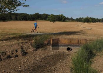 UK PM to chair emergency meeting on heatwaves, drought