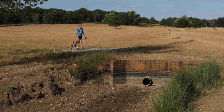 UK PM to chair emergency meeting on heatwaves, drought