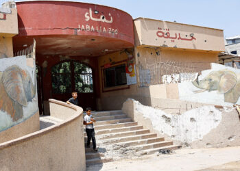 At a Gaza zoo, war takes its toll on the animals
