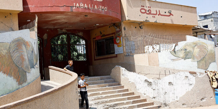At a Gaza zoo, war takes its toll on the animals