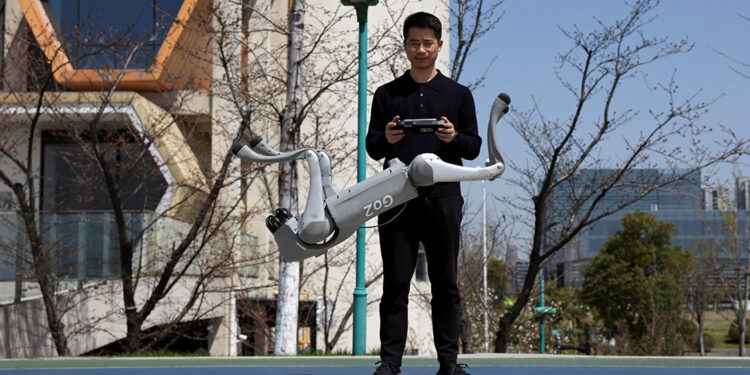 How U.S. military funding propelled China’s robot dogs 