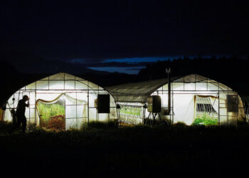 Japan’s farmers go nocturnal as deadly heat intensifies