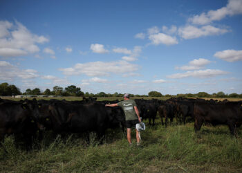 As Europe bakes, momentum grows for climate-resilient farming