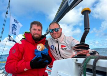 Owl aboard – British Army sailors rescue exhausted stowaway 70 miles out to sea