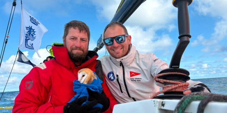 Owl aboard – British Army sailors rescue exhausted stowaway 70 miles out to sea