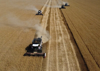 Russian grain exports shift to Baltic as Black Sea trade disrupted