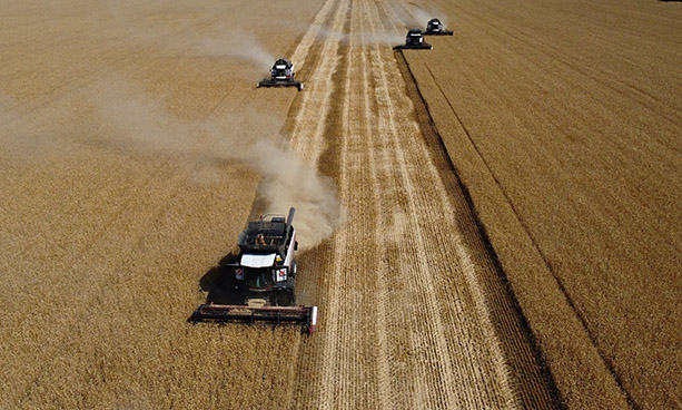 Russian grain exports shift to Baltic as Black Sea trade disrupted