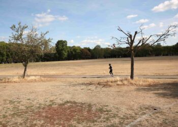 UK summer was hottest on record, Met Office says, after severe heat, drought