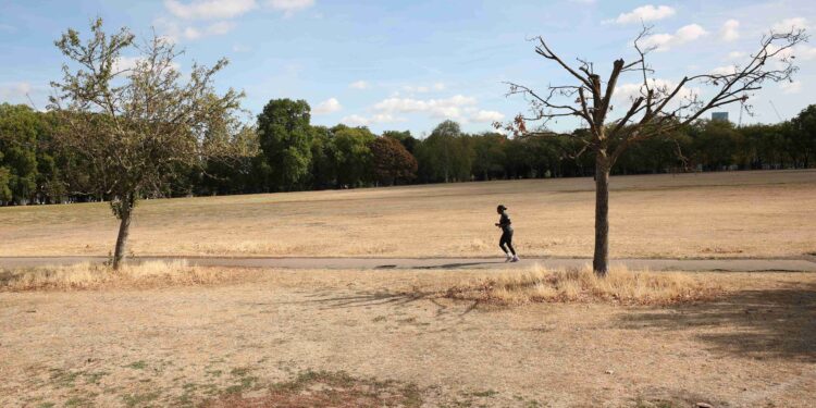 UK summer was hottest on record, Met Office says, after severe heat, drought