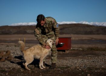 US to open two new military bases in Greenland, sources say