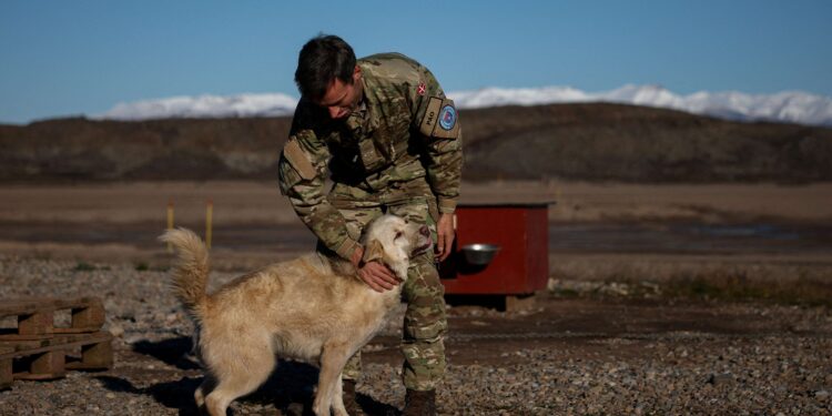 US to open two new military bases in Greenland, sources say