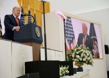Trump online: A burst of anti-Somali and anti-Muslim rhetoric 